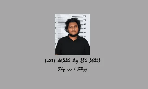 ގދ. ތިނަދޫގައި ފުޅާދާއިރާއެއްގައި ބަނގުރާ އުފައްދައި ވިއްކަމުންދިޔަ ނެޓްވޯކެއްގެ އިސް މީހަކު ހައްޔަރުކޮށްފިއެވެ.