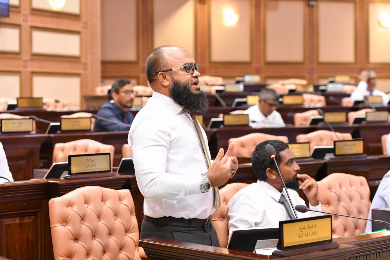 ސުވާލުކުރުމާއި ސަކުވާކުރުމުގެ ހައްގު ރައްޔިތުންނަށް އޮންނާނެ: މެންބަރ ހުސައިން